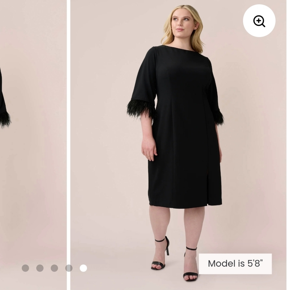 Adrianna Papell Black Dress with‎ Feathered Sleeves
